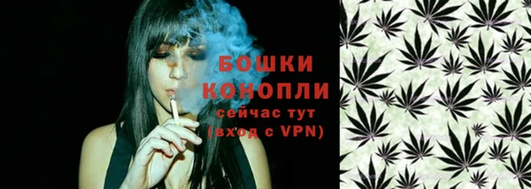 гидра Кулебаки