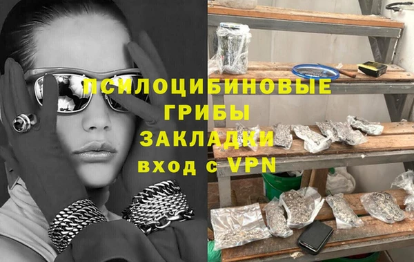гидра Кулебаки