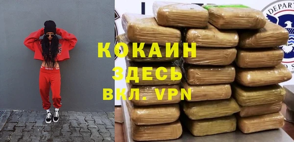 гидра Кулебаки