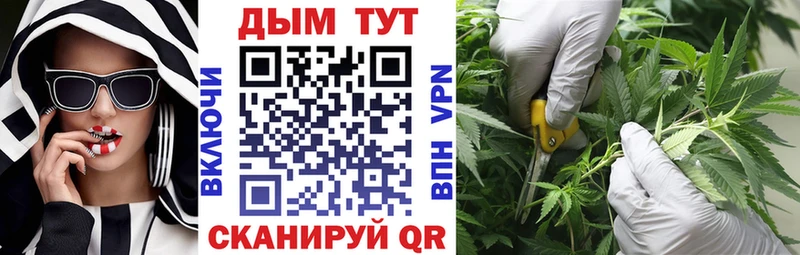 Конопля индика  MEGA вход  Красково 